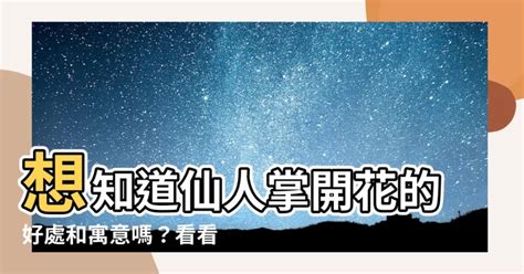 仙人掌開花好嗎|“如何讓仙人掌開花？學習促使仙人掌開花的關鍵要領”